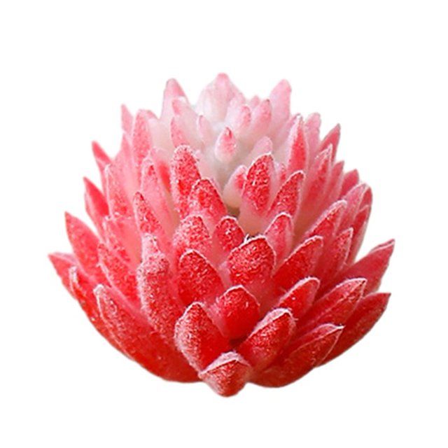 Mini Artificial Succulents Simulation Plant Bonsai for Desktop Home Garden Decor
