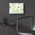thumbnail image 5 of Epic Art 'Daisy Dance' by Pamela Plummer, Acrylic Glass Wall Art, 16"x12", 5 of 8