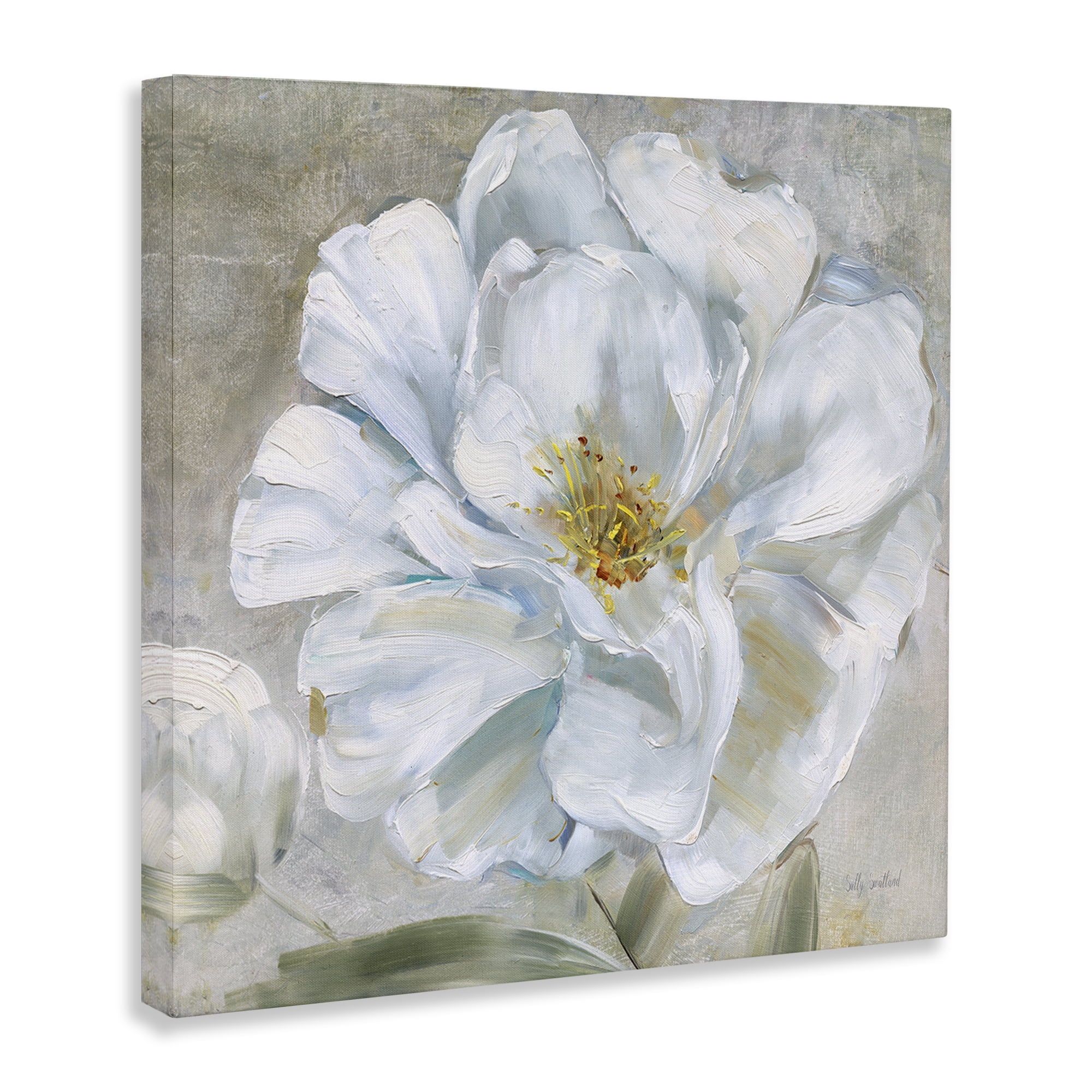 Stupell Industries Close Up White Bloom Plants & Flowers Painting Wrapped Canvas Art Print Wall Art, 30 x 30