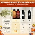 thumbnail image 3 of Okaga Shower Set Batana Oil Shampoo & Conditioner with Aloe Vera, Saw Palmetto, Biotin, Caffeine & Rice Protein, Citrus Scent, 3 Pack, 3 of 8
