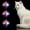 3pcs, variant on Frusde 3 Pcs Light Up Cat Balls, Led Motion Activated Cat Ball Cat Interactive Toys Exercise Ball for Kitten Dog Pet Animals Activity