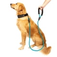 thumbnail image 2 of 5 FT Strong Dog Leash with Comfortable Padded Handle and Highly Reflective Threads Dog Leashes for Medium and Large Dogs (Blue), 2 of 3