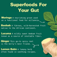 thumbnail image 3 of Kuli Kuli Gut Bliss Organic Superfood Blend for Healthy Digestion with Moringa, Baobab, Ginger, and Lemon Balm, 6 oz, 3 of 8