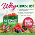 thumbnail image 2 of Sea Moss 3,000MG Gummies with Bladderwrack and Burdock Root - Gluten-Free, Vegan - 60 Gummies, 2 of 4