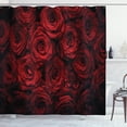 thumbnail image 1 of Ambesonne Romance Shower Curtain, Drops of Blooming Bouquet, 69"Wx84"L, Black Red, 1 of 3