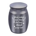 thumbnail image 1 of ZHOUBA Compact Pets Urn Easy Use Metal Sealed Waterproof Ashes Casket for Home, 1 of 5