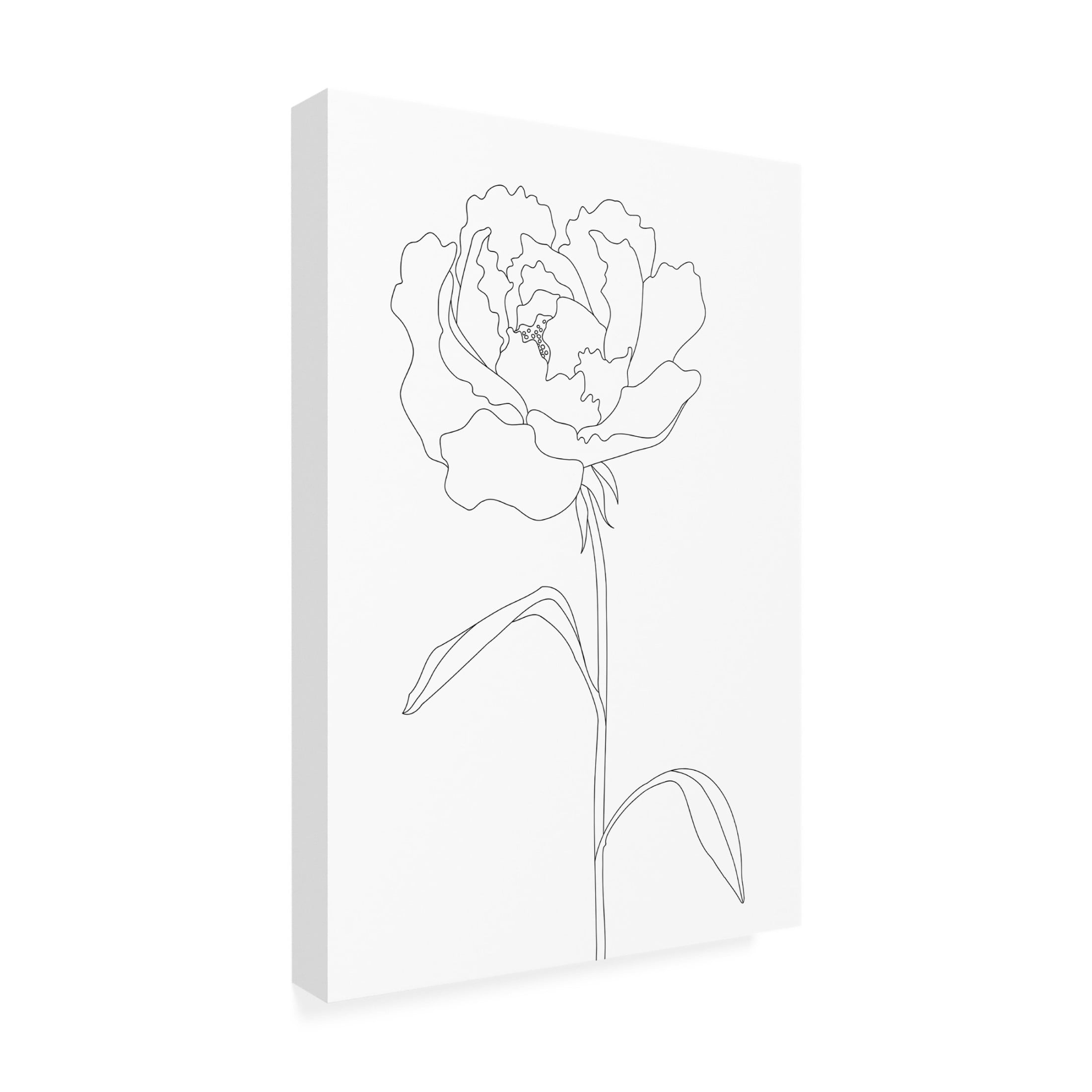 Pictufy Studio II 'Peony Lines' Canvas Art - 22 x 32 Inches