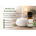 thumbnail image 5 of GreenHealth Oregano Essential Oil – 100% Pure Aromatherapy Oil – 5 ml (1/6 fl oz) Natural Essential Oil for Diffusers, Soap Making, DIY Blends – Amber Glass Bottle with Euro Dropper, 5 of 9