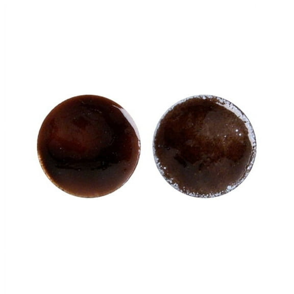 2170 Van Dyke Brown Thompson Transparent Enamel 1 Ounce