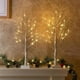 thumbnail image 1 of Juego de 2 luces LED blancas cálidas alimentadas por batería de abedul de 2 pies y 24 litros para decoración del hogar, bodas, Vhermosa, 1 of 4