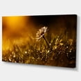 thumbnail image 2 of Vintage Wild Flower In Sunset - Large Floral Canvas Art Print, 2 of 3