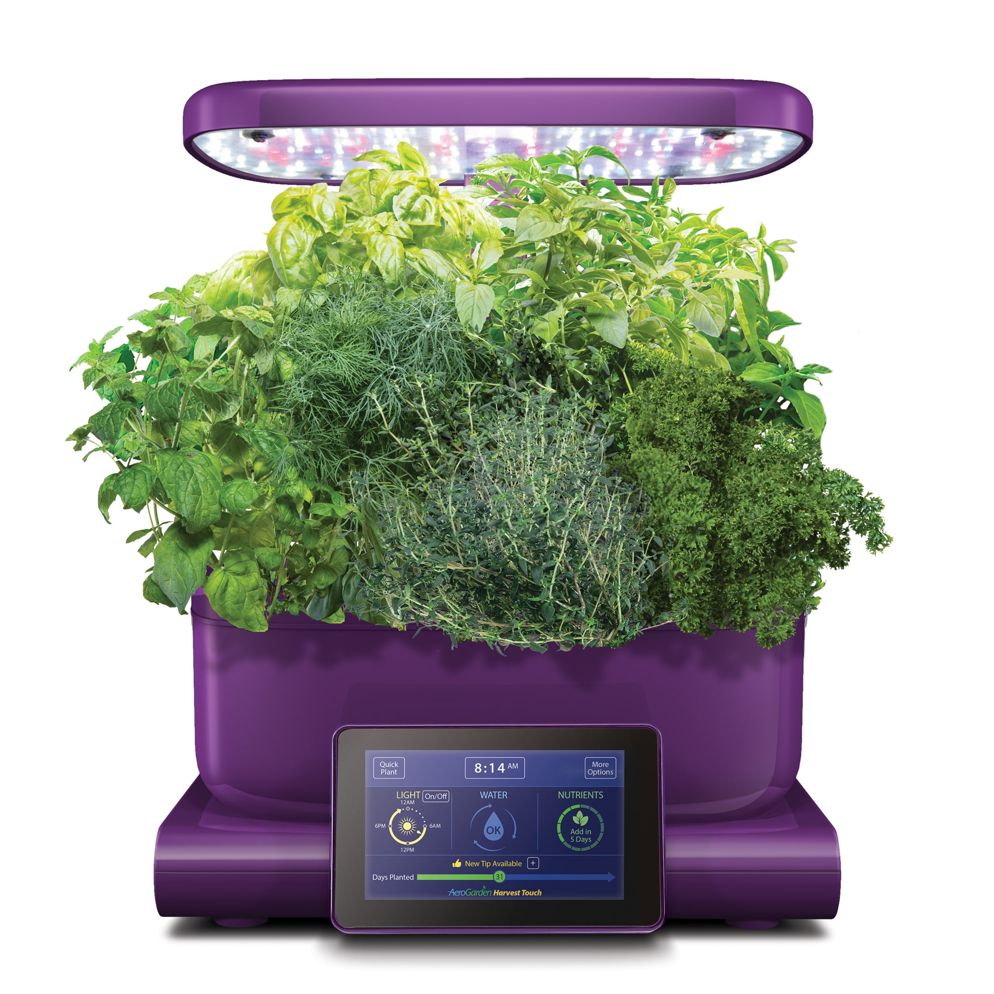 AeroGarden Harvest Touch, Eggplant with Gourmet Herbs Seed Pod Kit