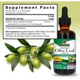 thumbnail image 3 of Nature’s Answer Olive Leaf Liquid Herbal Extract, Alcohol-Free, Non-GMO, Vegan, Gluten Free, 2 fl oz, 3 of 8