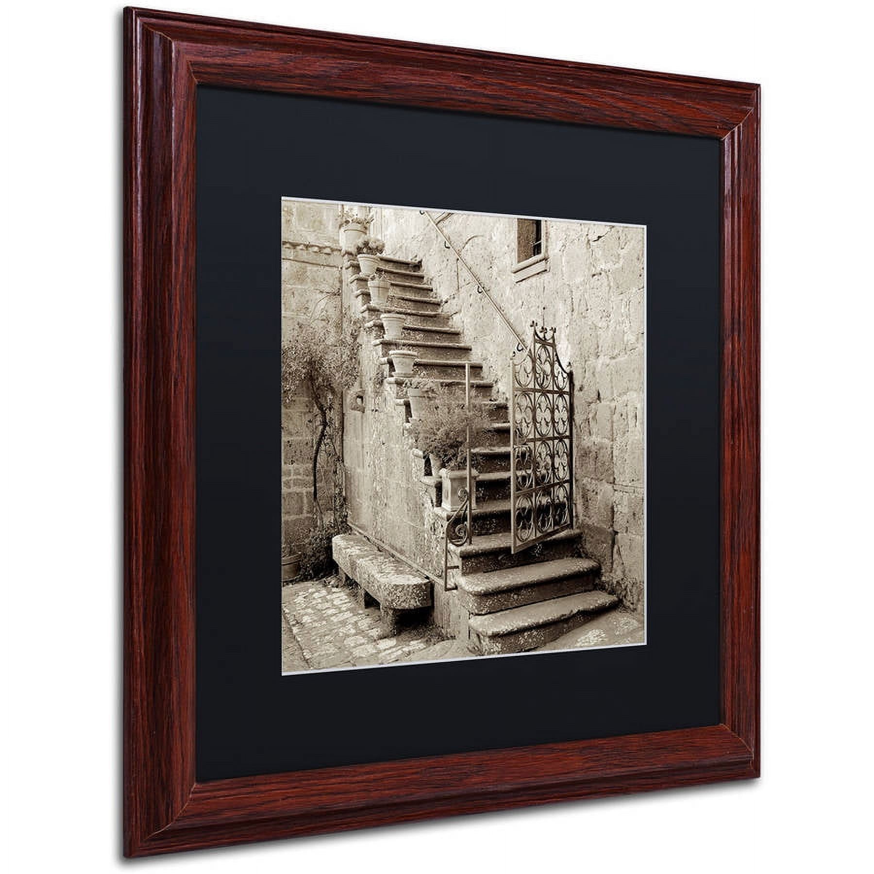 Trademark Fine Art "Umbria Scala I" Canvas Art by Alan Blaustein, Black Matte, Wood Frame