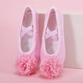 thumbnail image 6 of Miqool Ballet Shoes for Girls Toddler Ballet Slippers Soft Leather Flower Decor Soft Sole Slip-On Elastic Cross Strap Boys Dance Shoes for Toddler/Little Kid/Big Kid, 6 of 9