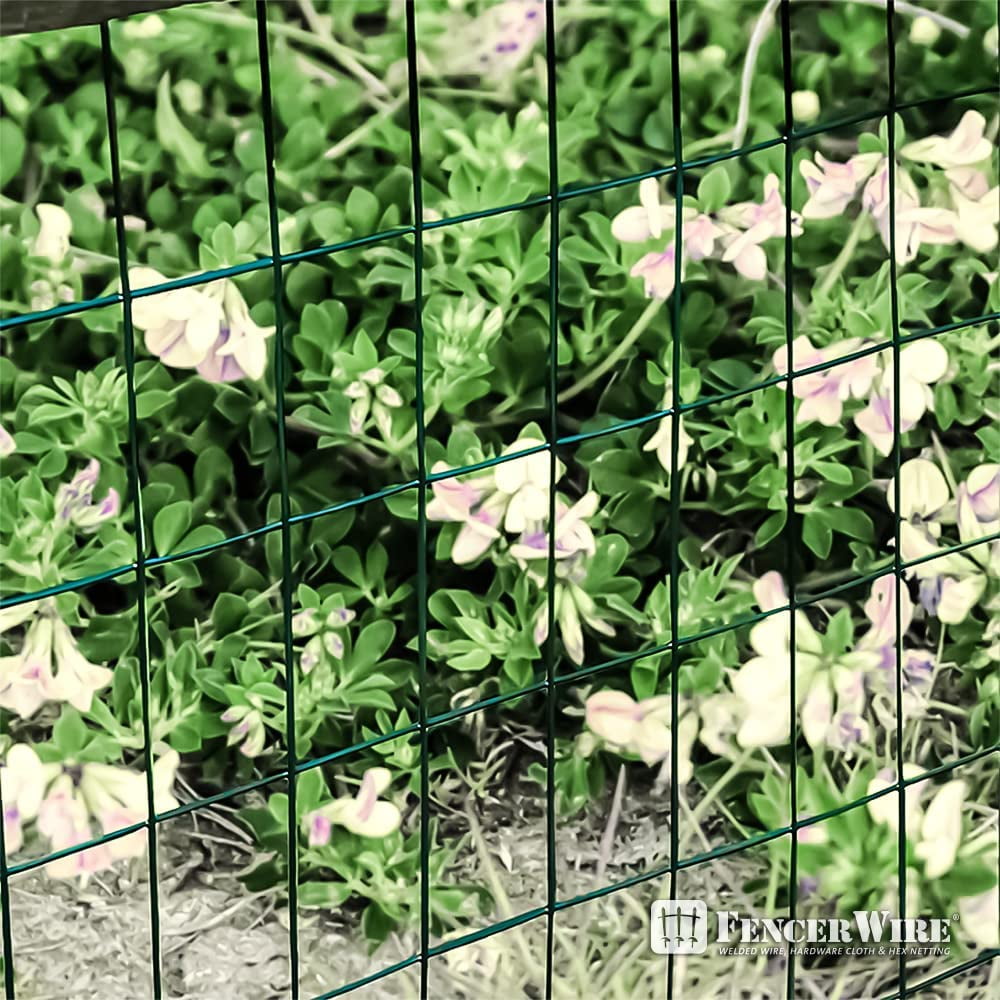 Fencer Wire Vinyl Coated 16 Gauge Welded Fence Wire Roll, Mesh Size 2-Inch x 3-Inch, Green Metal Garden Fencing Wire Grid Hardware Cloth, Multiple Use for Home Improvement