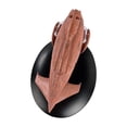 thumbnail image 5 of Eaglemoss Star Trek Starship Replica | Vulcan Dvahl, 5 of 8
