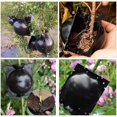 thumbnail image 3 of Plant Rooting Boxes,Plant Propagation Ball,High Pressure Propagation Ball,for Plants Grafting Root Training,10pc Plant Rooting Box Ball (Black), 3 of 5
