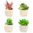 thumbnail image 1 of Mini plantas en macetas, suculentas de plástico, decoración de oficina en casa, 1 of 5
