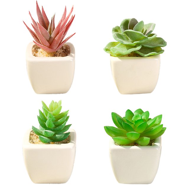 Mini plantas en macetas, suculentas de plástico, decoración de oficina en casa