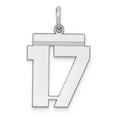 thumbnail image 1 of White Sterling Silver Charm Pendant 17 21 mm 16 Rhodium-Plated Medium Polished Number, 1 of 2