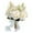 white-1, variant on Wedding Bouquets for Bride with Ribbon Bridal Holding Wedding Bouquet for Bridal Shower Wedding Church Party