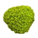 thumbnail image 1 of Adornos de musgo artificial decorativo de 25 g para decorar el dormitorio y eventos especiales. Verde, 1 of 9