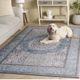 thumbnail image 3 of SAFAVIEH Sofia Waylon Oriental Area Rug, Light Grey/Blue, 10' x 14', 3 of 12
