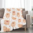 thumbnail image 2 of Pomeranian Blanket Super Cozy Soft Pomeranian Throw Blanket Warm Plush Fluffy Pomeranian Dog Stuff Gifts for Women Girls Fleece Flannel Gift Blankets for Kids Adults 60"X50", 2 of 6