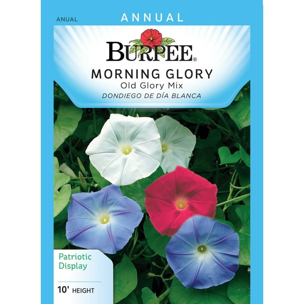 Burpee Morning Glory Old Glory Mix Seed Packets Walmart Com Walmart Com