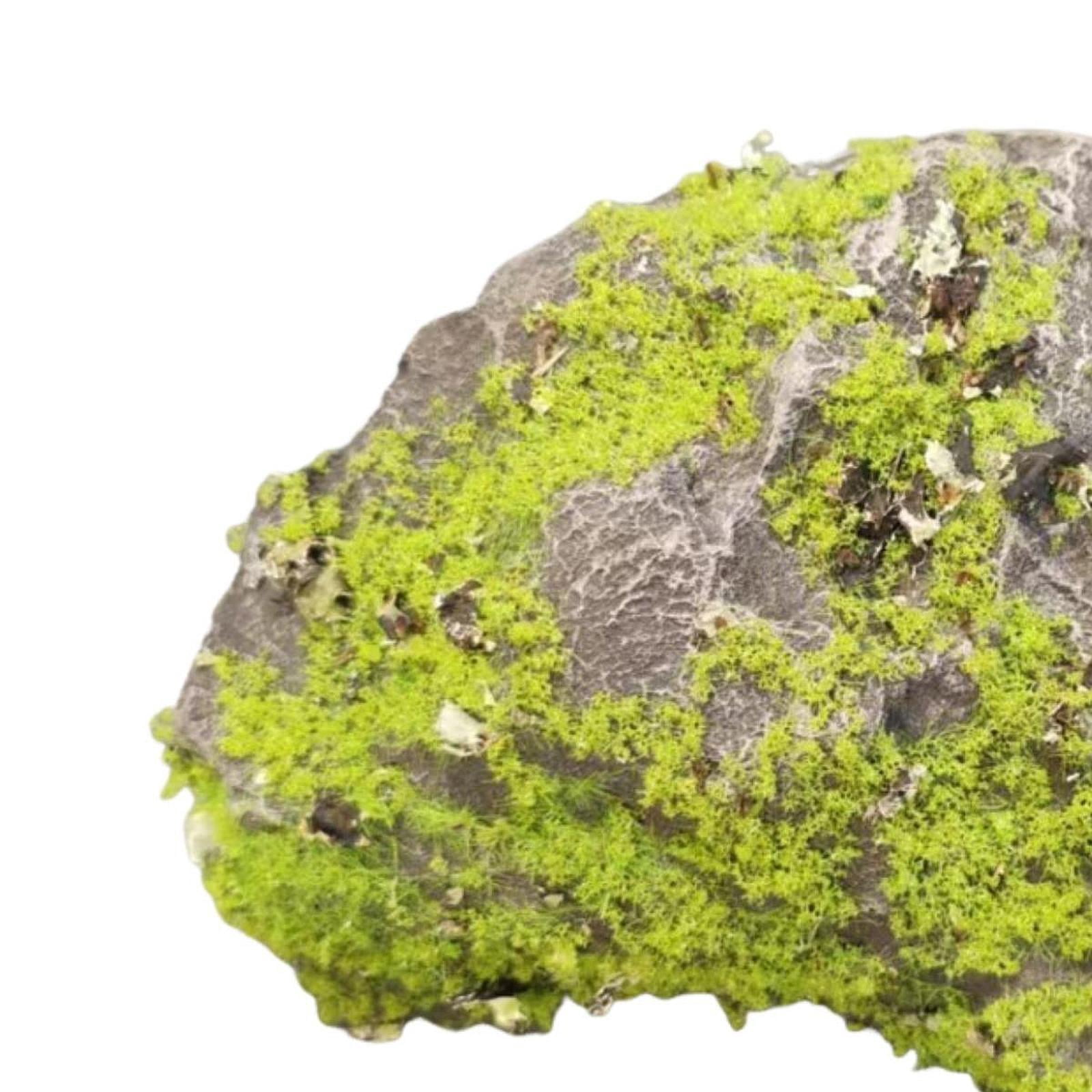 Zxpjkyu Artificial Moss Rock, Decorative Fake Stone, Artificial Green Moss Covered Stone L