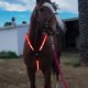 thumbnail image 2 of USB Recargable DYNWAVEMX Collar de Coraza de Pecho Luces LED Nylon, 2 of 8