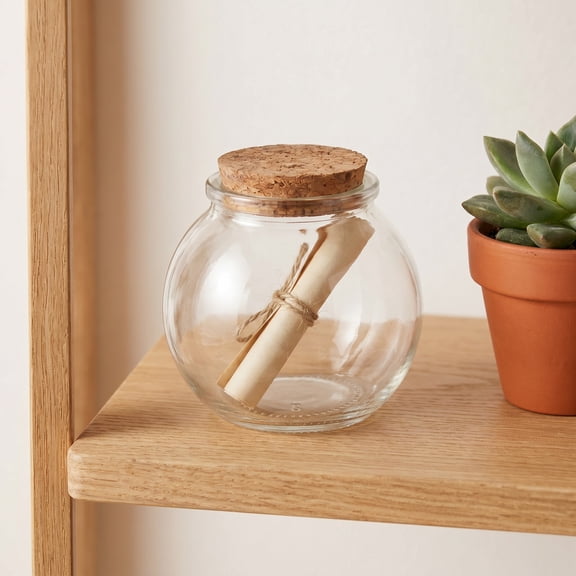 FOMIYES 2-Pack Mini Glass Bottles with Cork Stoppers, Clear Transparent Jars for Crafts, Storage, and Decorative Use