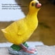 thumbnail image 3 of Adorno de Pato Pato Pequeño Adorno Acuático Estatua de Pato Estatuilla de Pato Escultura de Pato Estatuilla Estatua de Animal Decoración Adorno de Pato Regalos Estatuilla para ANGGREK Otros, 3 of 8
