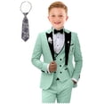 thumbnail image 1 of Conjunto de traje formal Tesscy para niños, ajustado, verde menta, talla 2T-20, 1 of 6