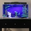 Clear For Life 55R Rectangle Acrylic Aquarium - Black Back