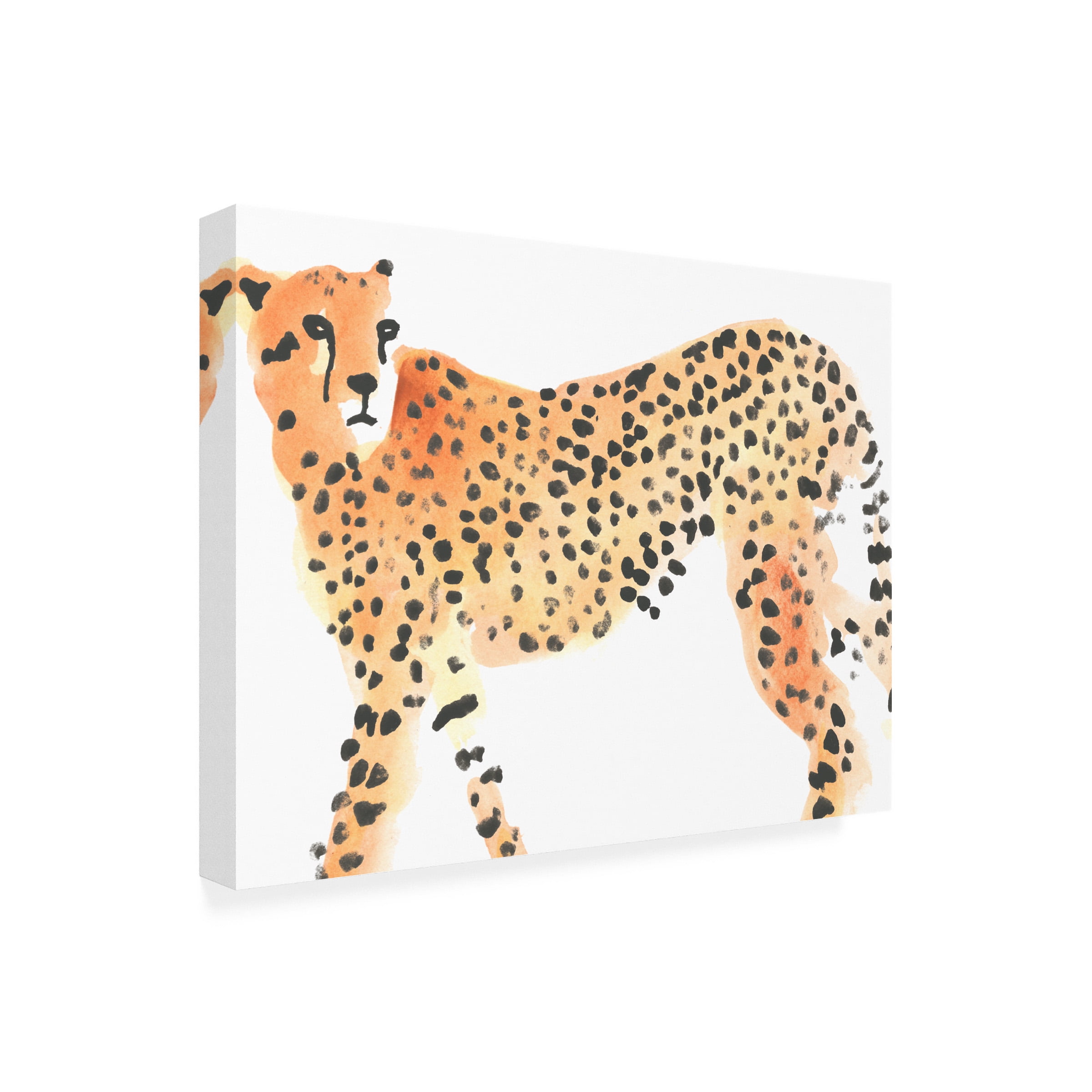 June Erica Vess 'Majestic Cheetah II' Canvas Art