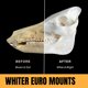 thumbnail image 3 of Blanqueador de Huesos BoneBrite® de Velvet Antler Technologies para Montajes Europeos - Solución Premium para Blanquear Calaveras para Cazadores y Taxidermistas - Suministros de Taxidermia, 3 of 3