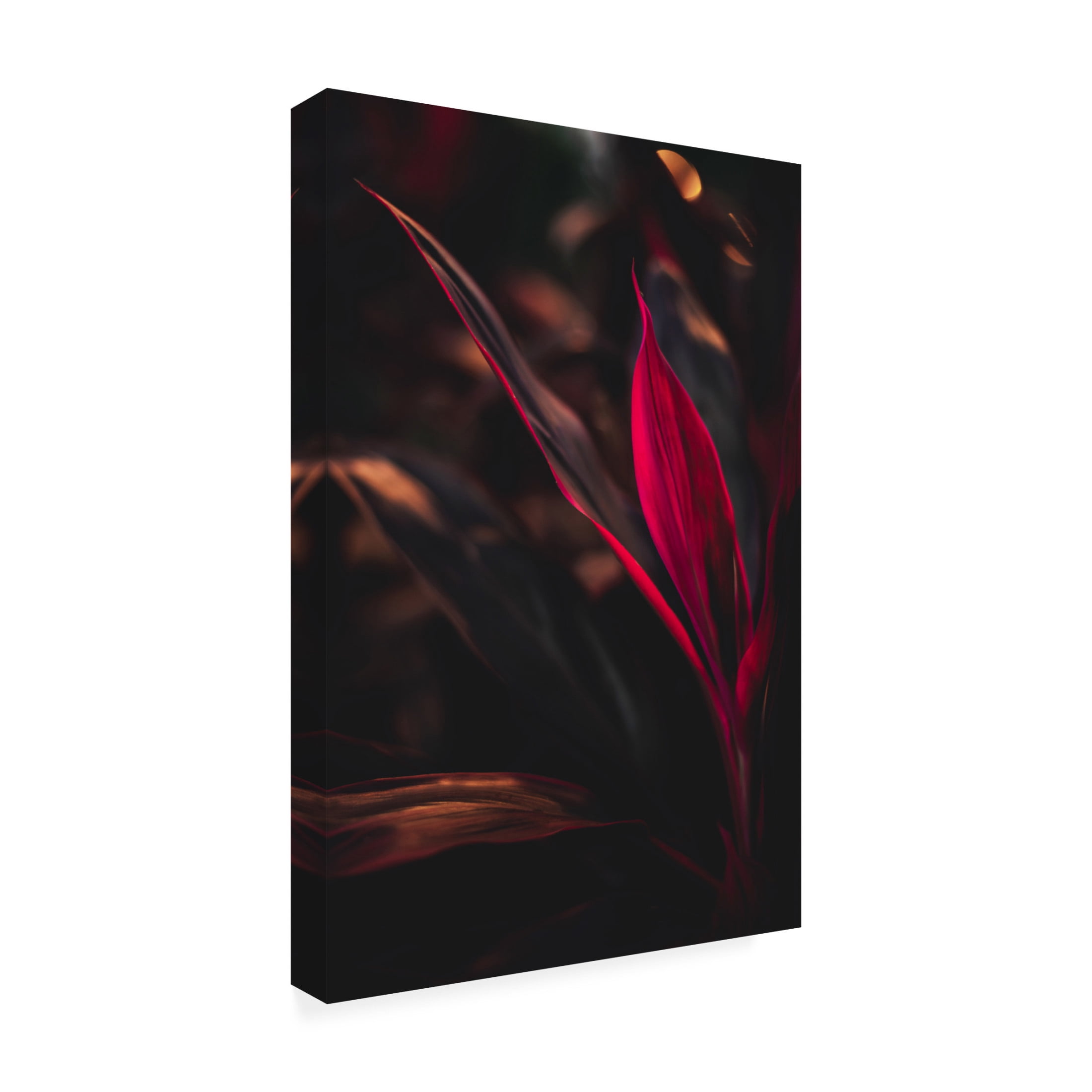 Trademark Fine Art Tim Mossholder Red Plan At Dusk Canvas Wall Art
