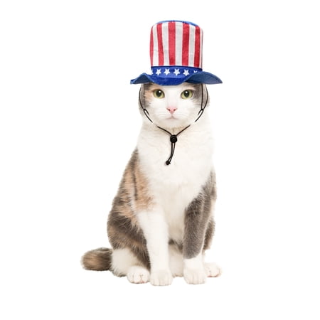Vibrant Life 4th of July Uncle Sam Pet Top Hat, Medium/Large