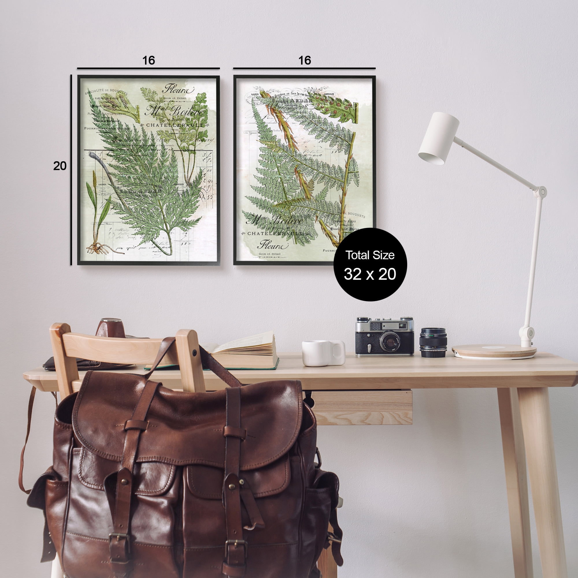 Stupell Woodland Fern Botanical Latin Study Botanical & Floral Painting Black Framed Art Print Wall Art, Set of 2