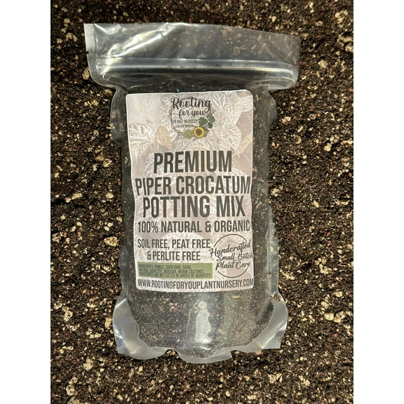 Piper Crocatum Premium Potting Mix