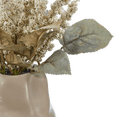 thumbnail image 2 of Bouclair Dried Amaranth in Vase, 2 of 4