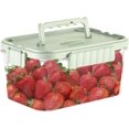 thumbnail image 1 of Fruit Containers For Fridge, Airtight Locking Lids Food Containers With Detachable Ice Tray, Summer Household Outdoor Fruit Organizer Bento Box For Ic, 1 of 5