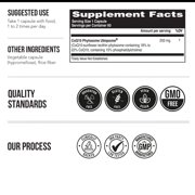 Triquetra Health SoActive CoQ10
