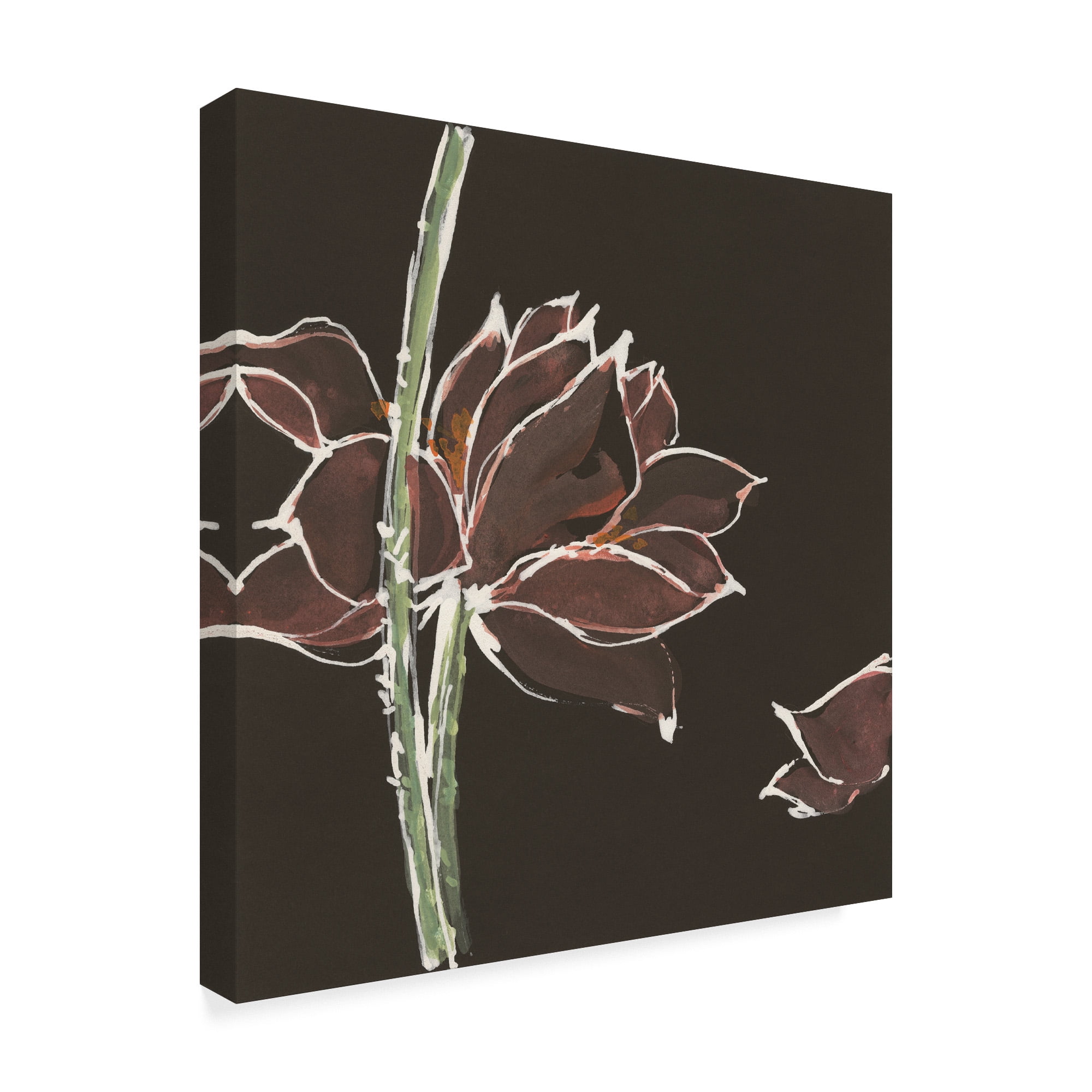Trademark Fine Art 'Lotus on Black V' Canvas Art by Chris Paschke