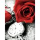 thumbnail image 1 of Kit de Pintura 5D DIY Taladro Diamante Cgtredaw Rosa Reloj 30x40cm, 1 of 9