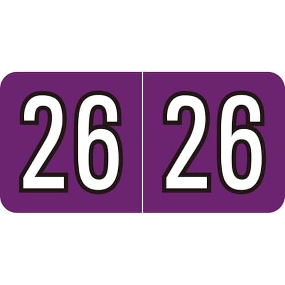2026 Year Stickers, 500 Pcs File Folder Labels Self Adhesive 3/4" x 1-1/2" Chart Stickers Rectangle Color Coded Labels (Purple)