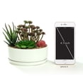 thumbnail image 3 of K-Cliffs 6.3 inch Round Minimalist White Ceramic Succulent Planter Pot  Bowl Tub with Saucer, 3 of 8