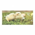 thumbnail image 1 of Chicks Gym Towel, Photo of Little Chickens on Clovers with Blurry Backdrop Easter Eggs, One-Sided Quick Dry Microfiber for Beach Fitness & Swimming, 60" x 30", Pale Yellow Fern Green, by Ambesonne, 1 of 2